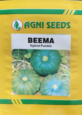 Pumpkin Seeds