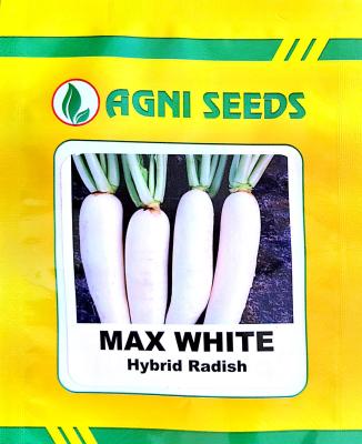 Radish-Max White