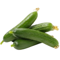 Plant with Confidence!