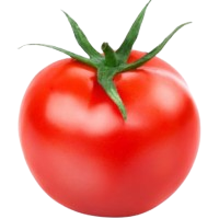 Plant with Confidence!